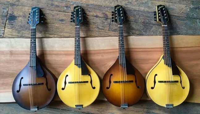 Electric Mandolins